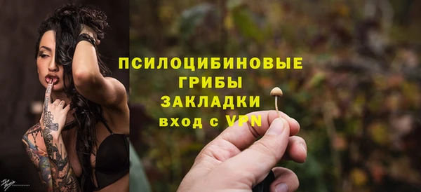 сатива Алексеевка
