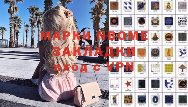 сатива Алексеевка