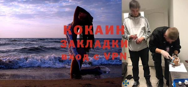 сатива Алексеевка