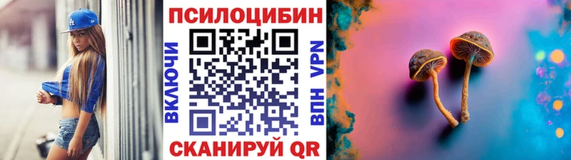 Псилоцибиновые грибы мицелий  Грязовец 