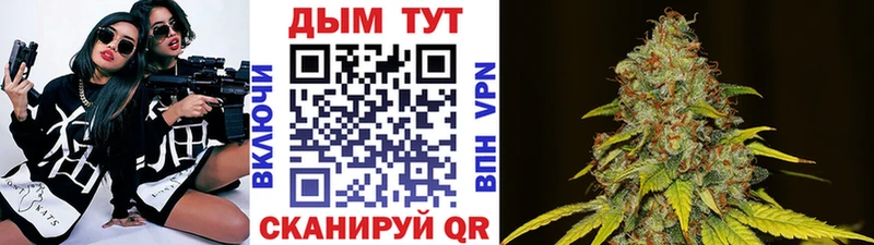 Каннабис MAZAR  Грязовец 
